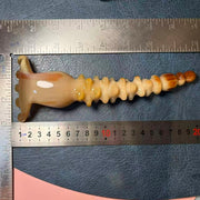 Large Yak Horn Scalp Rake — Honey Gold, Curled Tine Tips