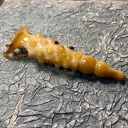 Rare Golden Milky White Yak Horn Scalp Massager Rake | 100% Handcrafted Eco-Friendly Meridian Comb | Resin-Free