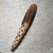 [Rare Gold & Cream White] Mature Yak Horn Diamond-Textured Gua Sha Tool | Beaded Acupressure Handle | Eco-Friendly Resin-Free Meridian Massager