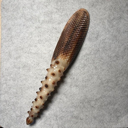 [Rare Gold & Cream White] Mature Yak Horn Diamond-Textured Gua Sha Tool | Beaded Acupressure Handle | Eco-Friendly Resin-Free Meridian Massager