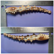 Hand-Carved Yak Horn Lotus Pod Massage Wand — Face & Acupressure Tool