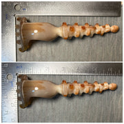 Natural Horn Scalp Massager Rake | Eco-Friendly Meridian Comb