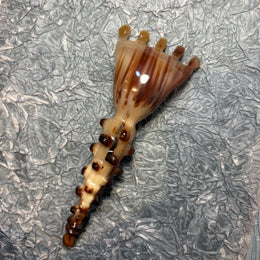 Natural Horn Scalp Massager Rake & Detoxing Meridian Massage Comb