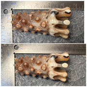 [Rare Amber Gold] Handcrafted Mature Yak Horn Scalp Massager | Pagoda Spire 3D Multi-Node Therapy Tool | 100% Natural, Un-dyed & Eco-Friendly