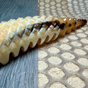 Rare Gold & Cream White Yak Horn Scalp Massager Rake | 100% Handcrafted Biomorphic Meridian Comb | Eco-Friendly & Resin-Free