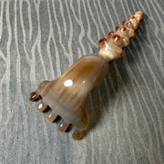 Natural Horn Scalp Massager Rake | Eco-Friendly Meridian Comb