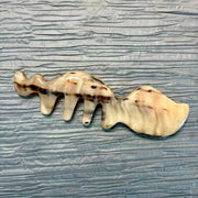 100% Handcrafted Squirrel Sheep Horn Gua Sha Comb | Rare Amber Gold Facial & Acupressure Massager