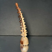 Genuine Yak Horn Massager — Caramel Streaked Tone for Scalp & Body